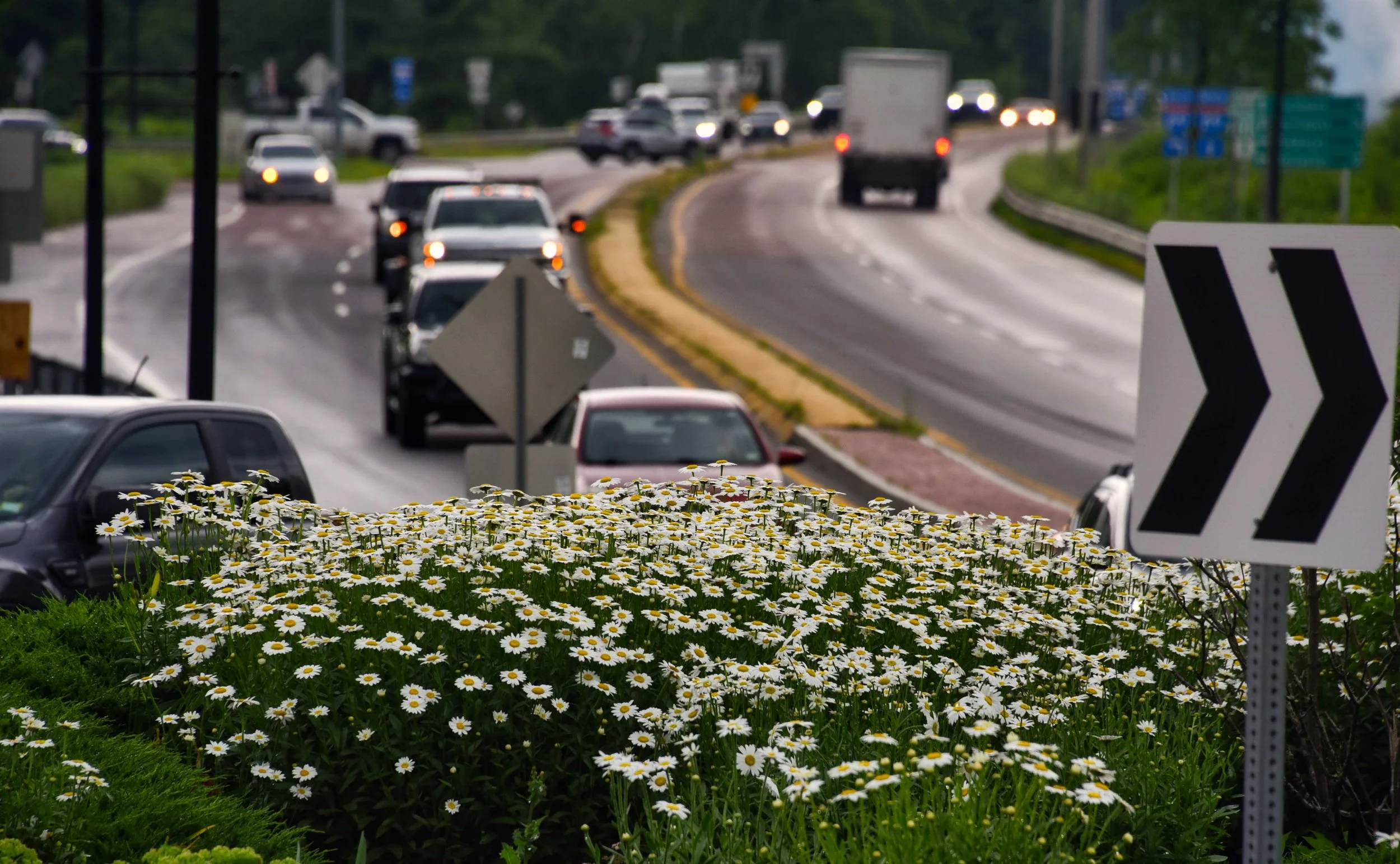  The roundabout at Rts. 2 &amp; 100 in summer bloom. Photo by Gordon Miller 