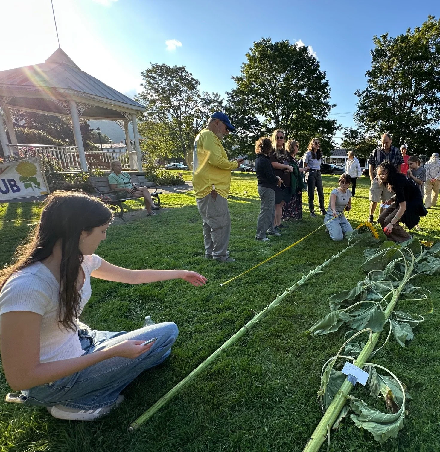  Harwood Rotary Interact Club students take measurements to determine Sunzilla honors. Photo by Lisa Scagliotti 