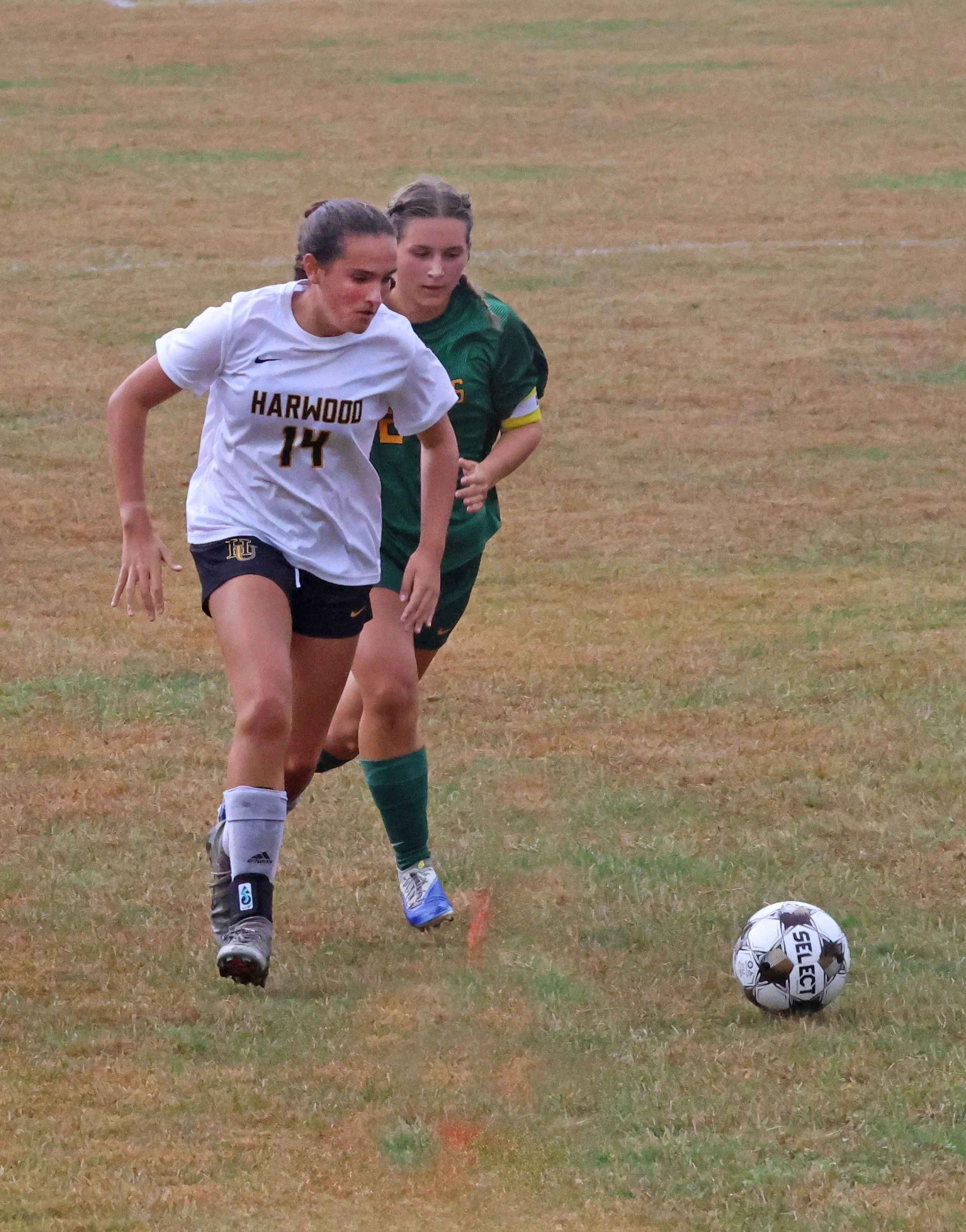 Harwood vs Peoples 14 gm.jpg
