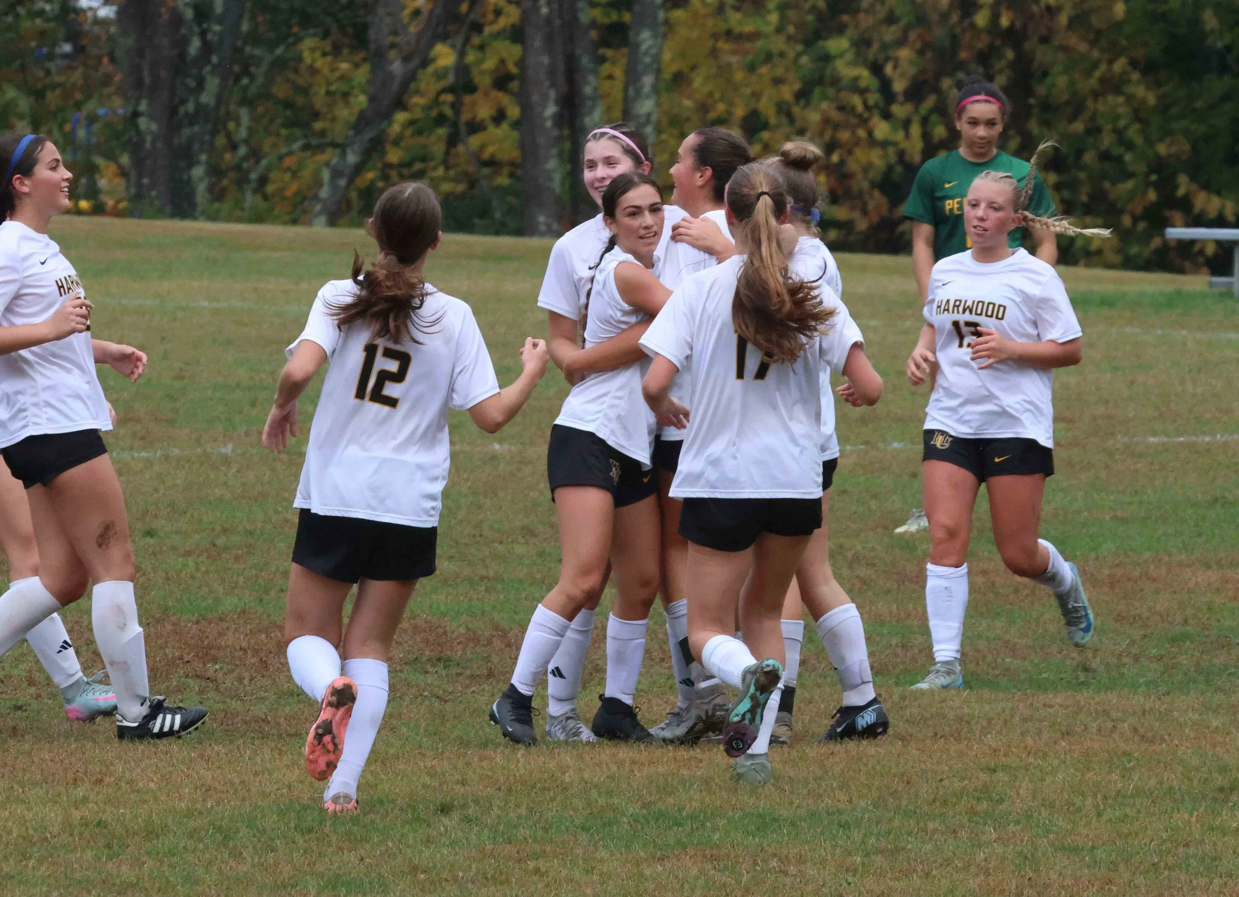 Harwood vs Peoples 11 gm.jpg