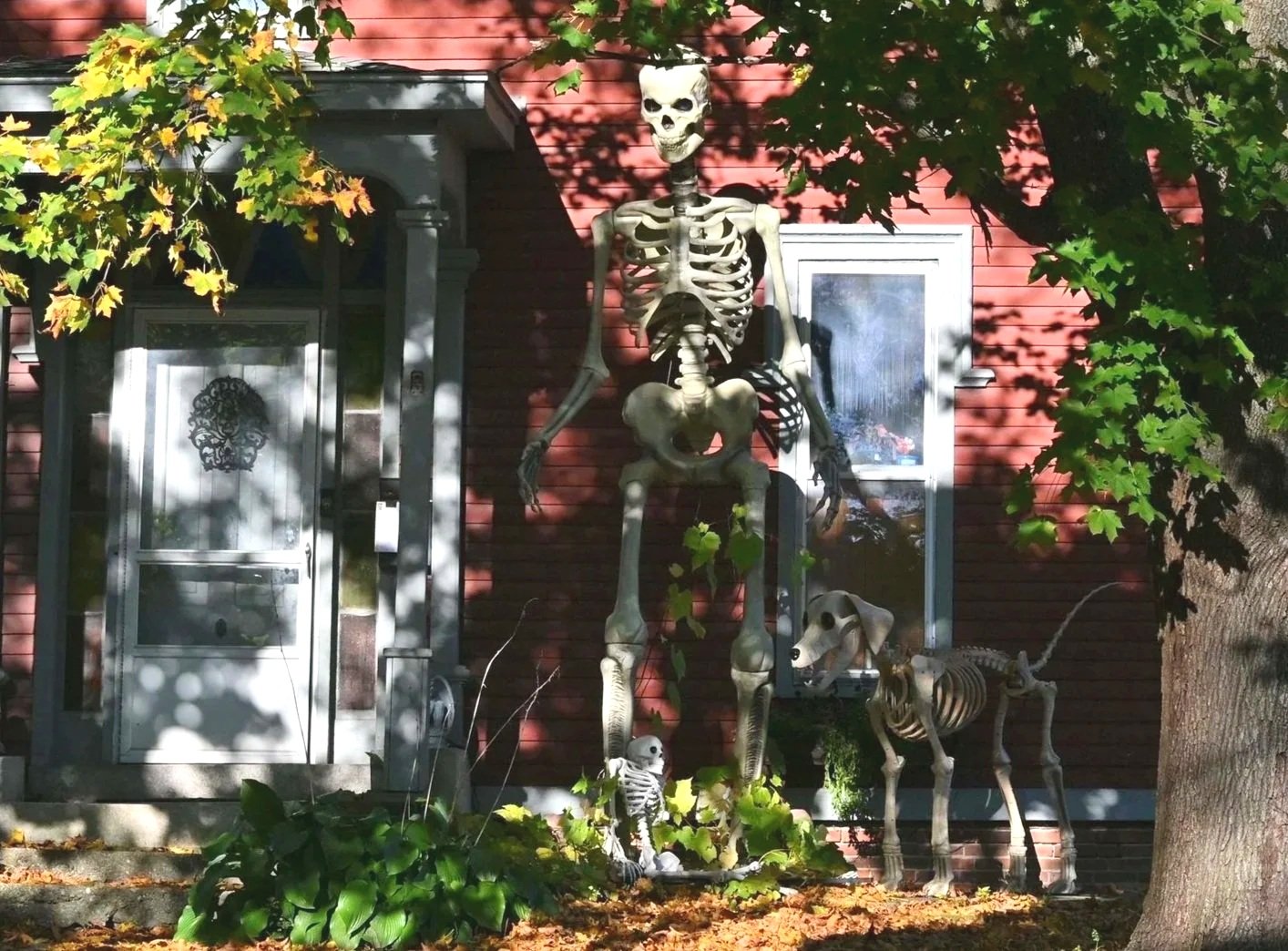Waterbury preps for Halloween
