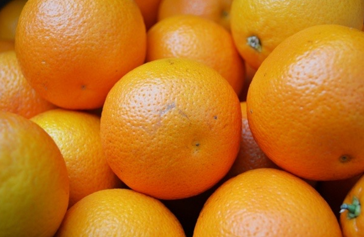 Harwood Music Dept.’s annual Citrus Sale is on