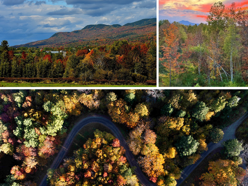 Reader Foliage Photos 2025