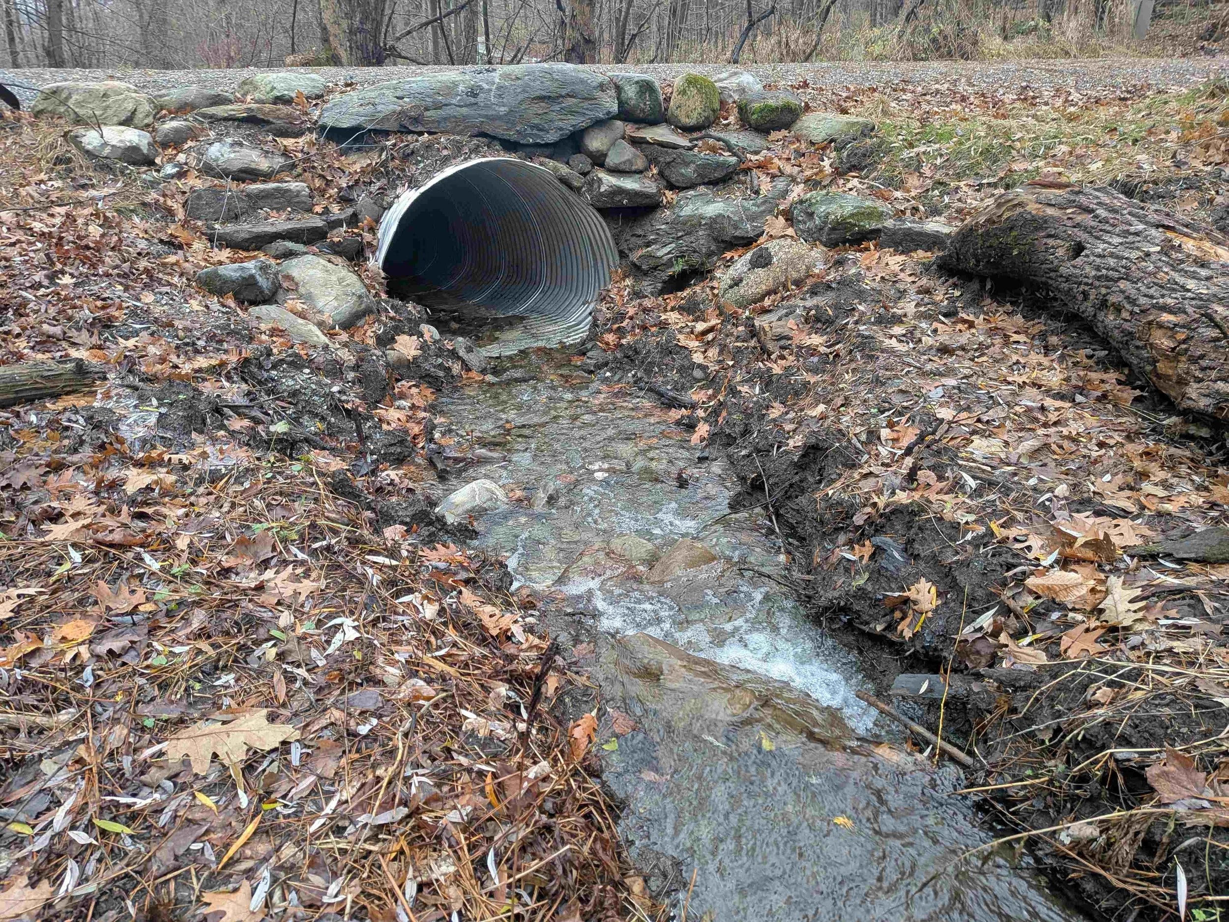   The Winooski tributary flows through the new larger culvert a month after the project was done. Vt. Land Trust photo  