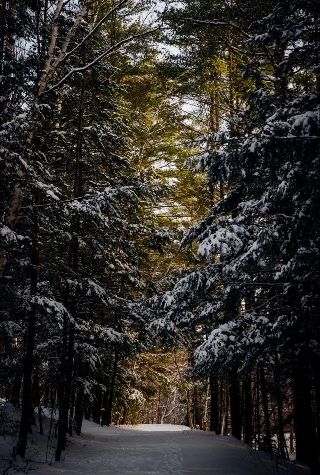 Vermont State Parks host New Year’s Day hikes