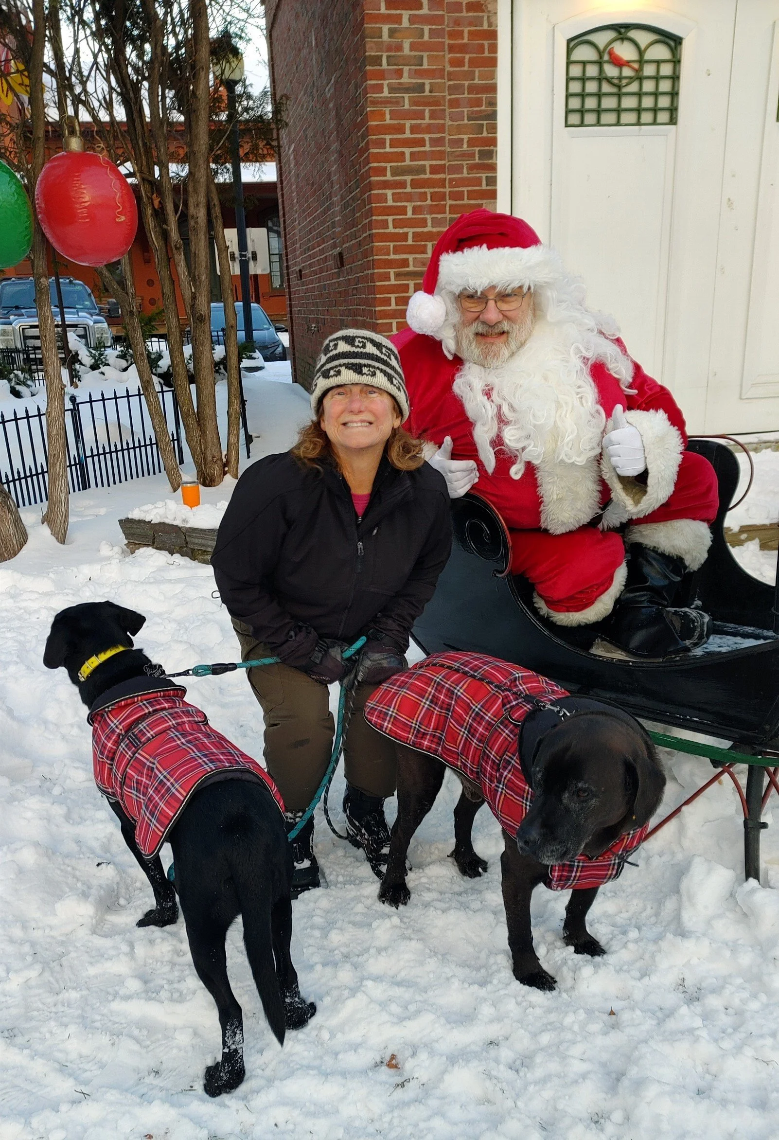  Some four-legged friends arrive to meet Santa. Photo by Debbie Bard 