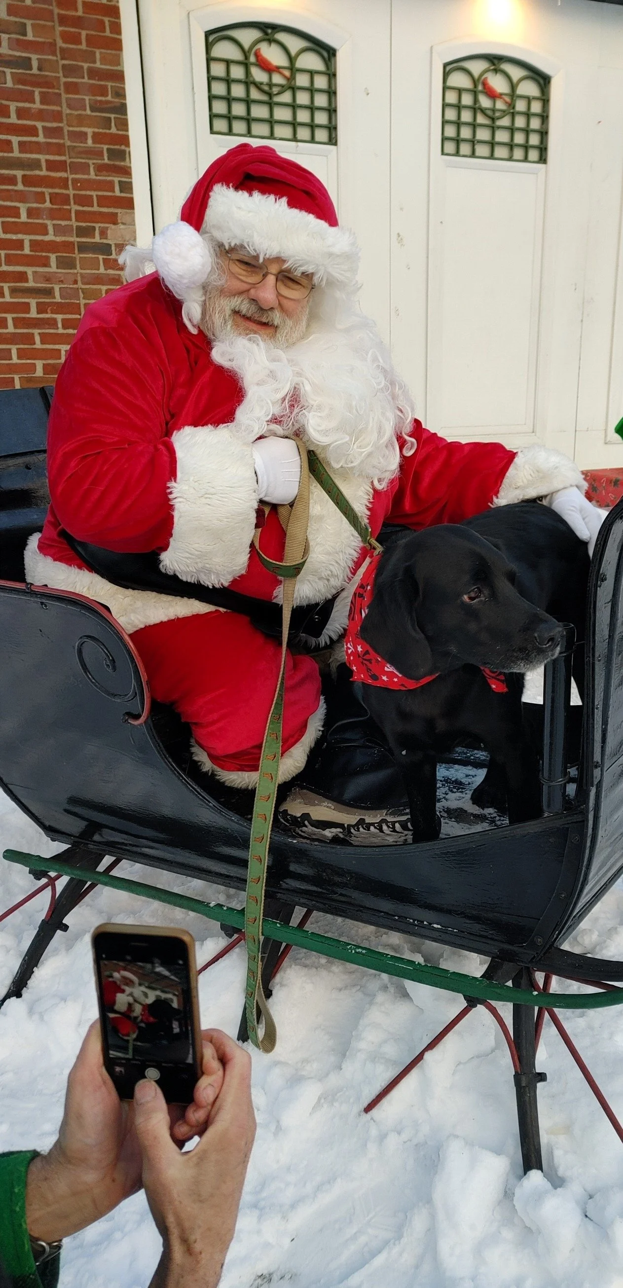  Good girls and boys of all species are welcome. Photo by Debbie Bard 