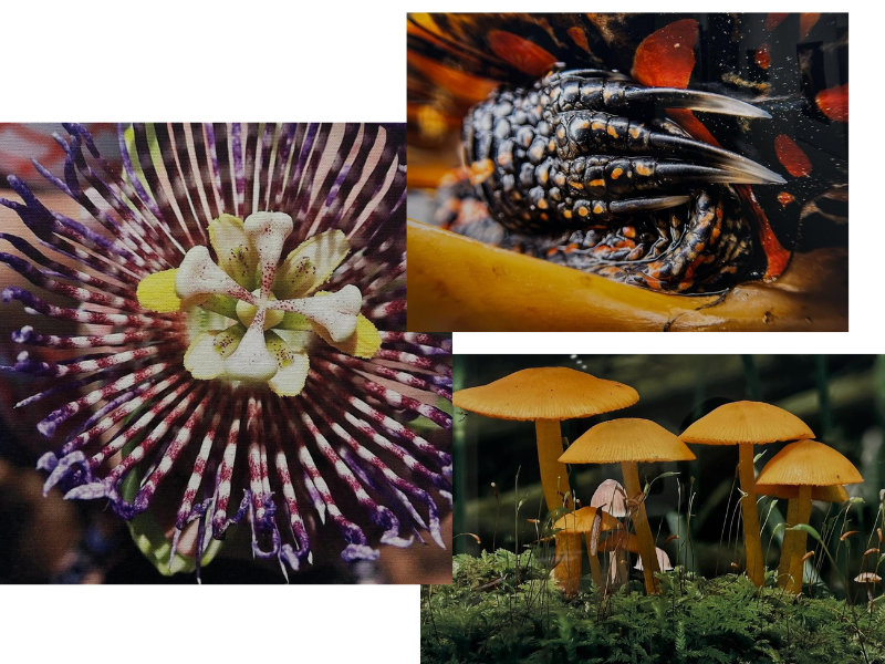 With ‘exciting changes’ around the corner, Axel’s hosts annual Photo Shoot-Out