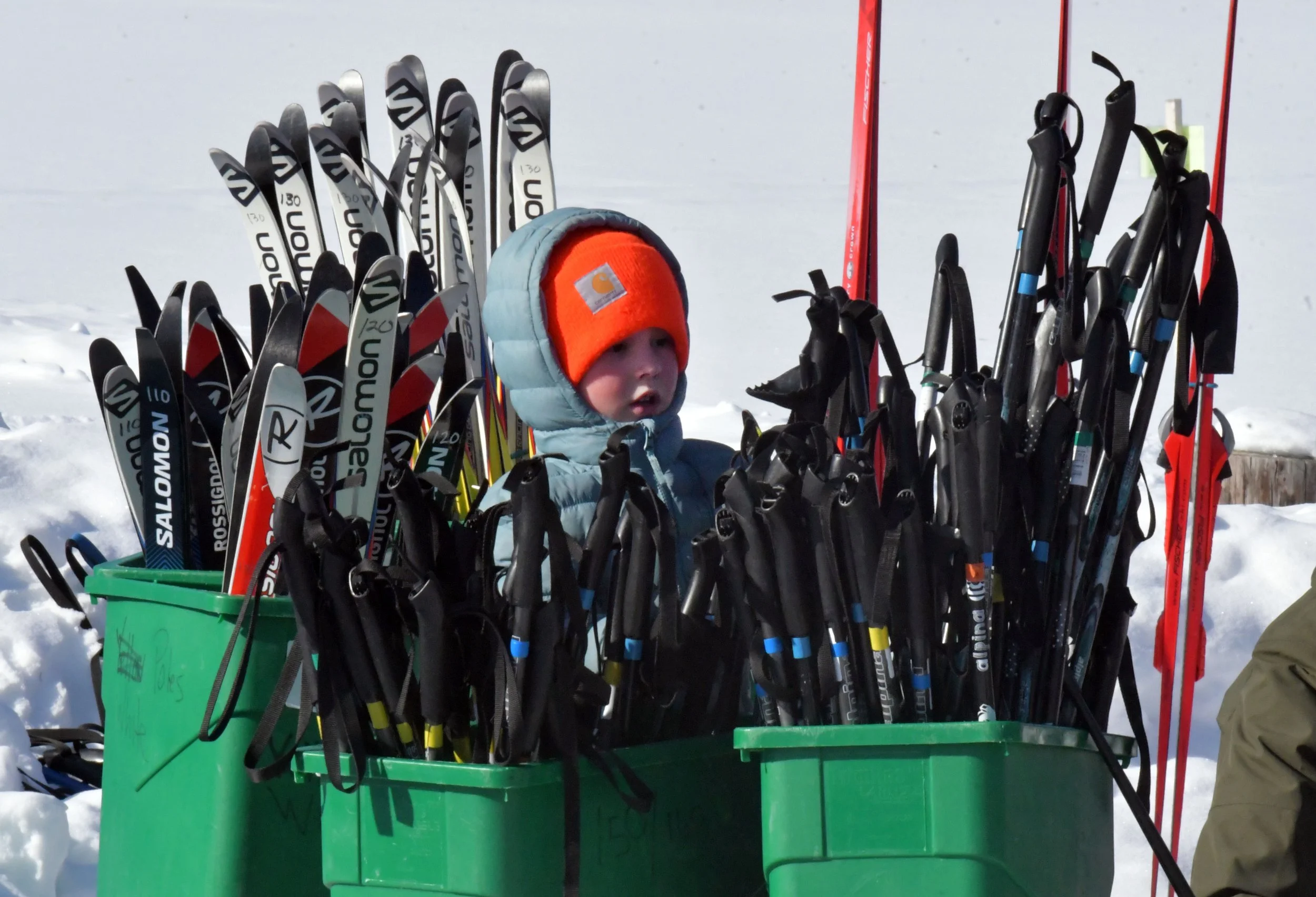  Photo by Gordon Miller 