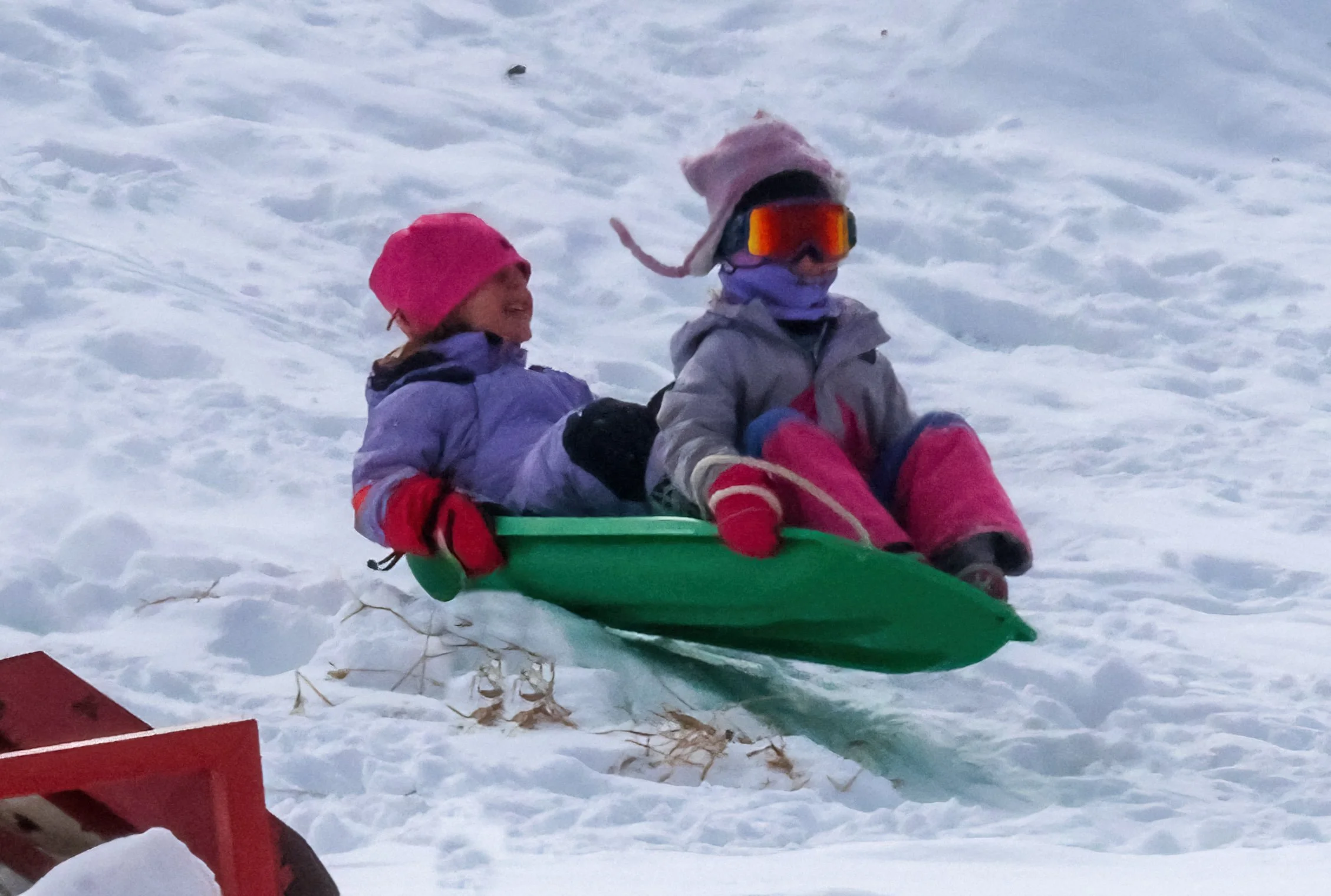  Photo by Gordon Miller 