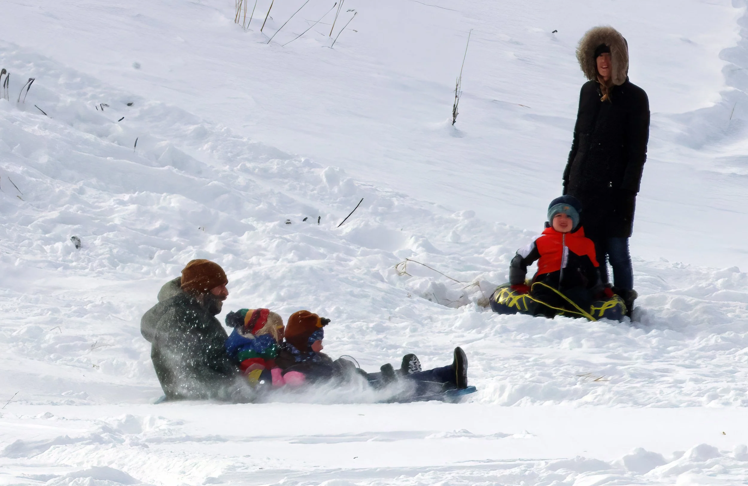  Photo by Gordon Miller 