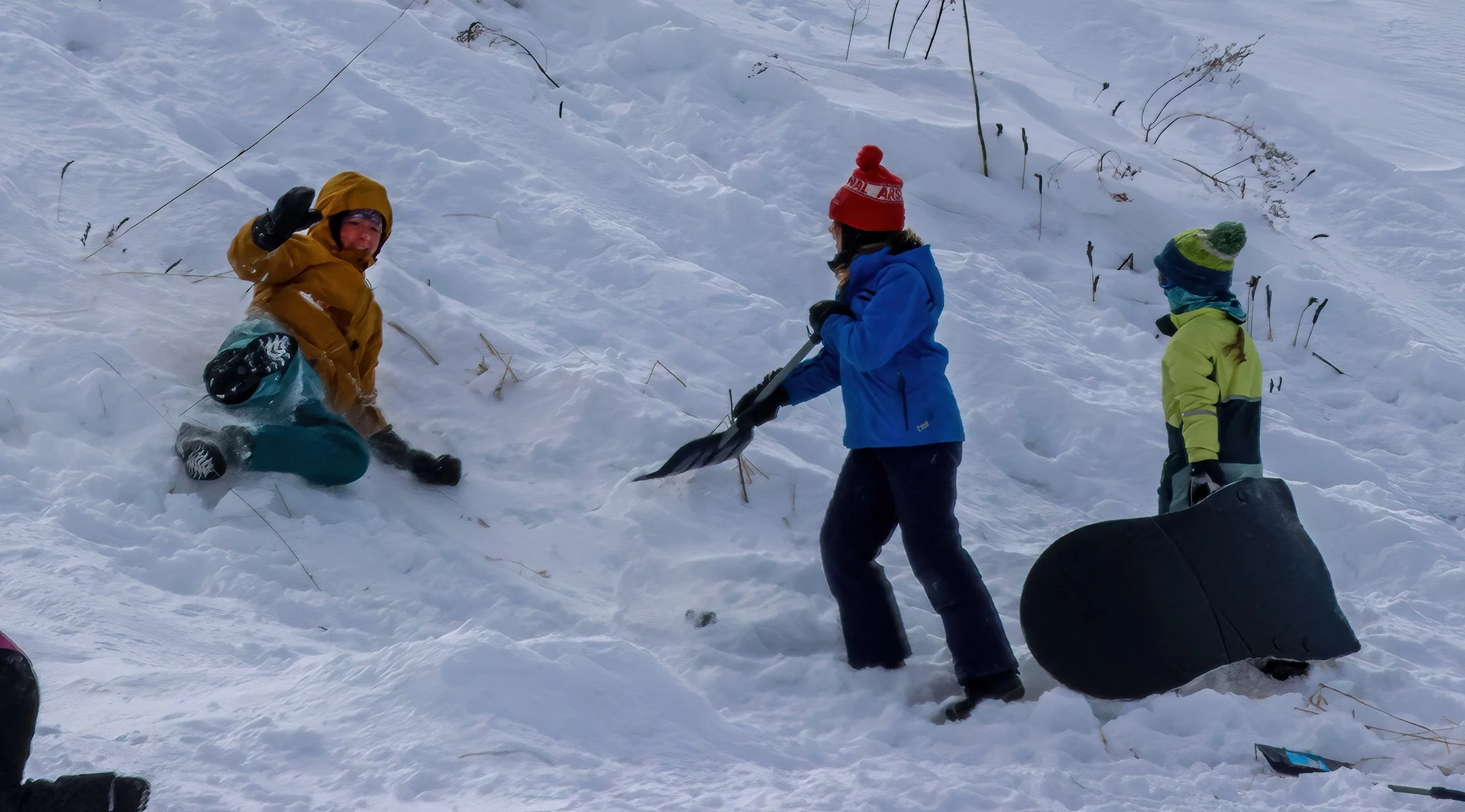  Photo by Gordon Miller 