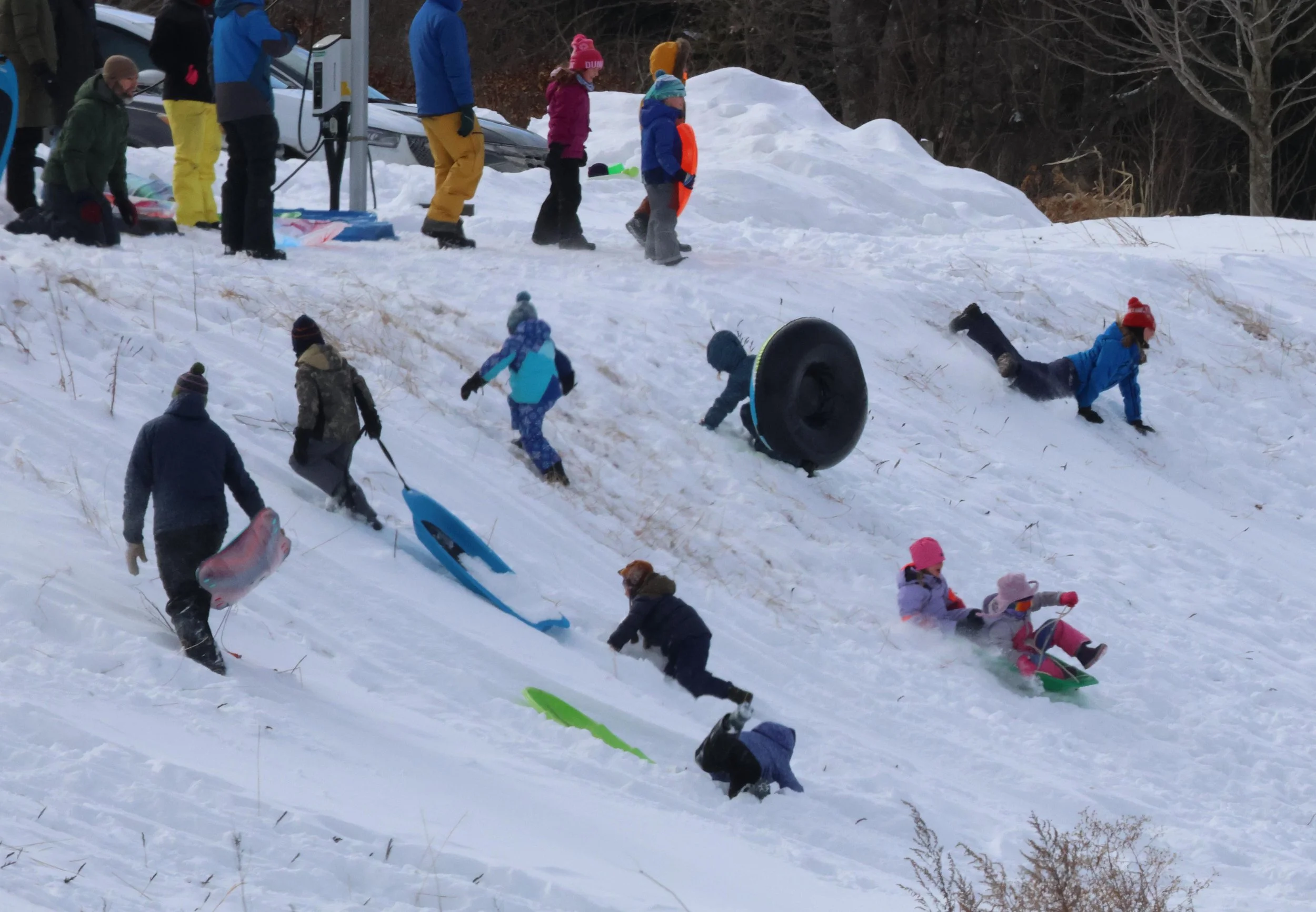  Photo by Gordon Miller 