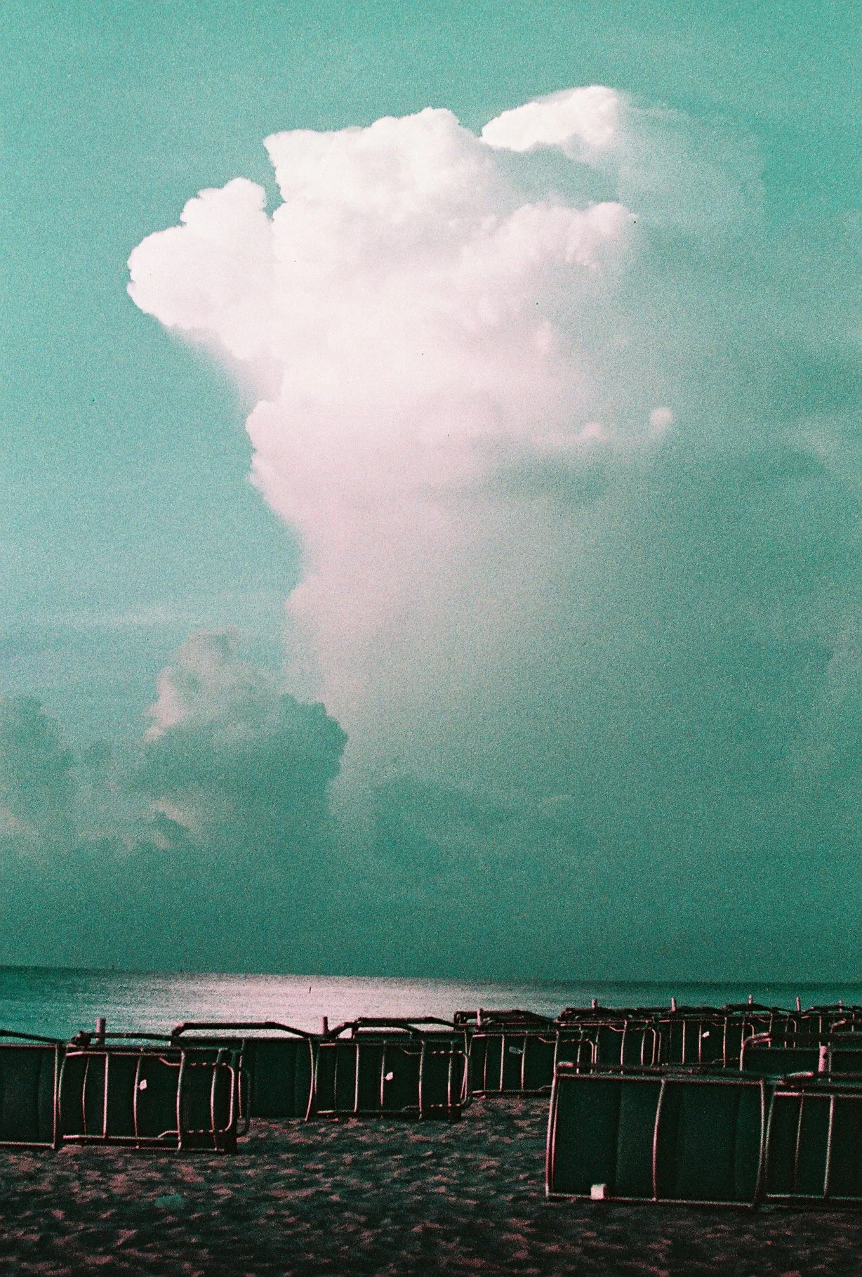 March at Waterbury Public Library