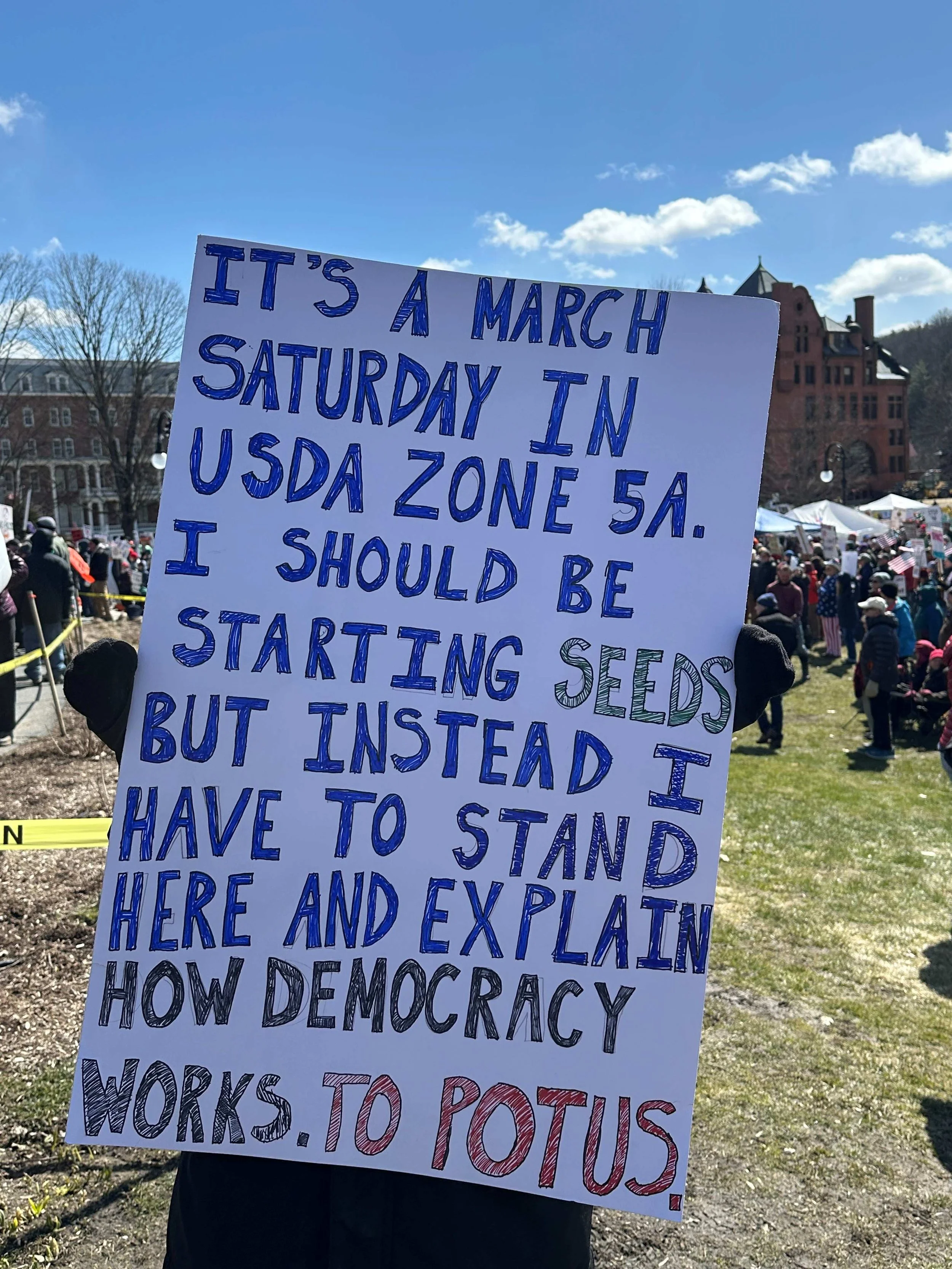  Photo by Lisa Scagliotti 