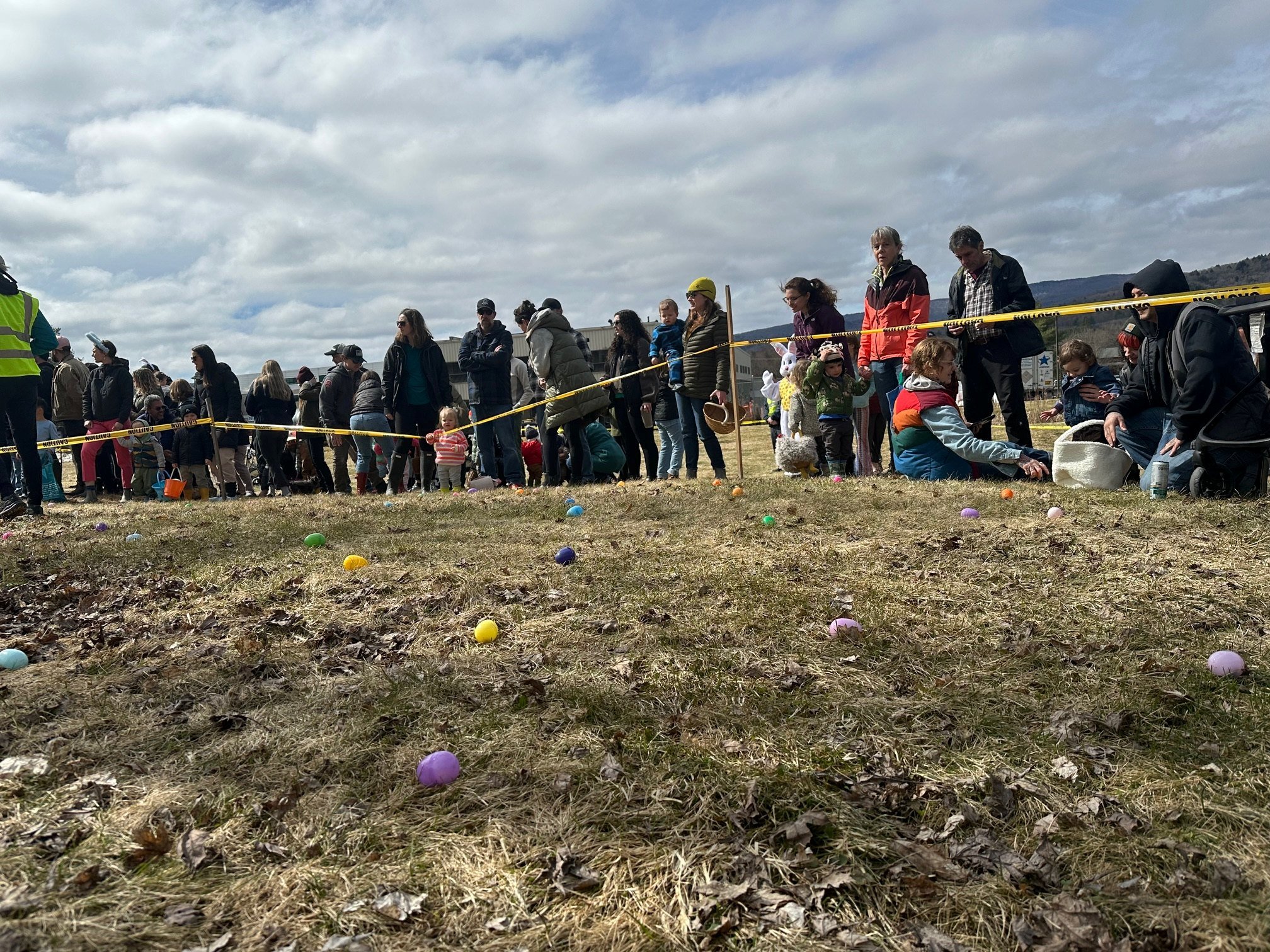   Photo by Lisa Scagliotti  