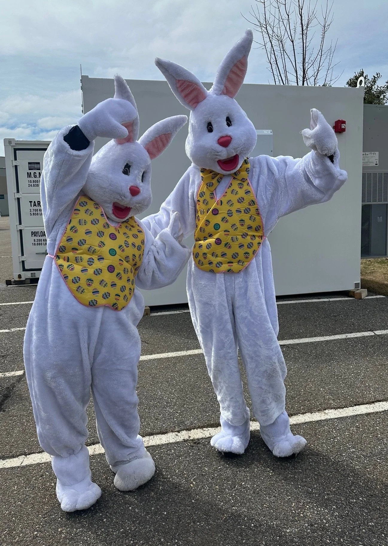   Photo by Lisa Scagliotti  