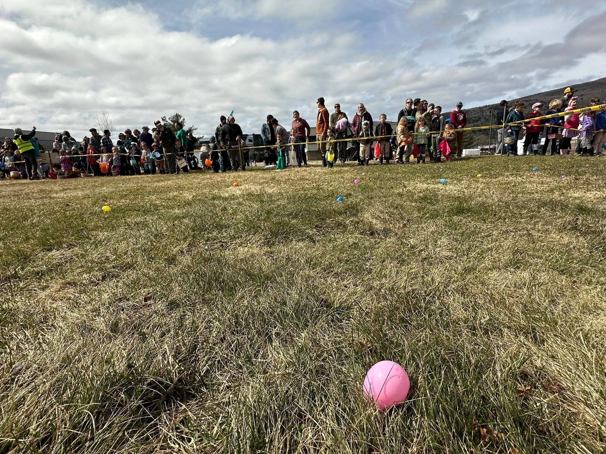   Photo by Lisa Scagliotti  