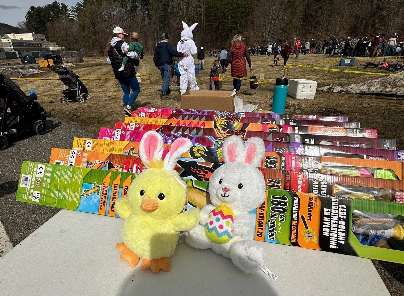   Photo by Lisa Scagliotti  