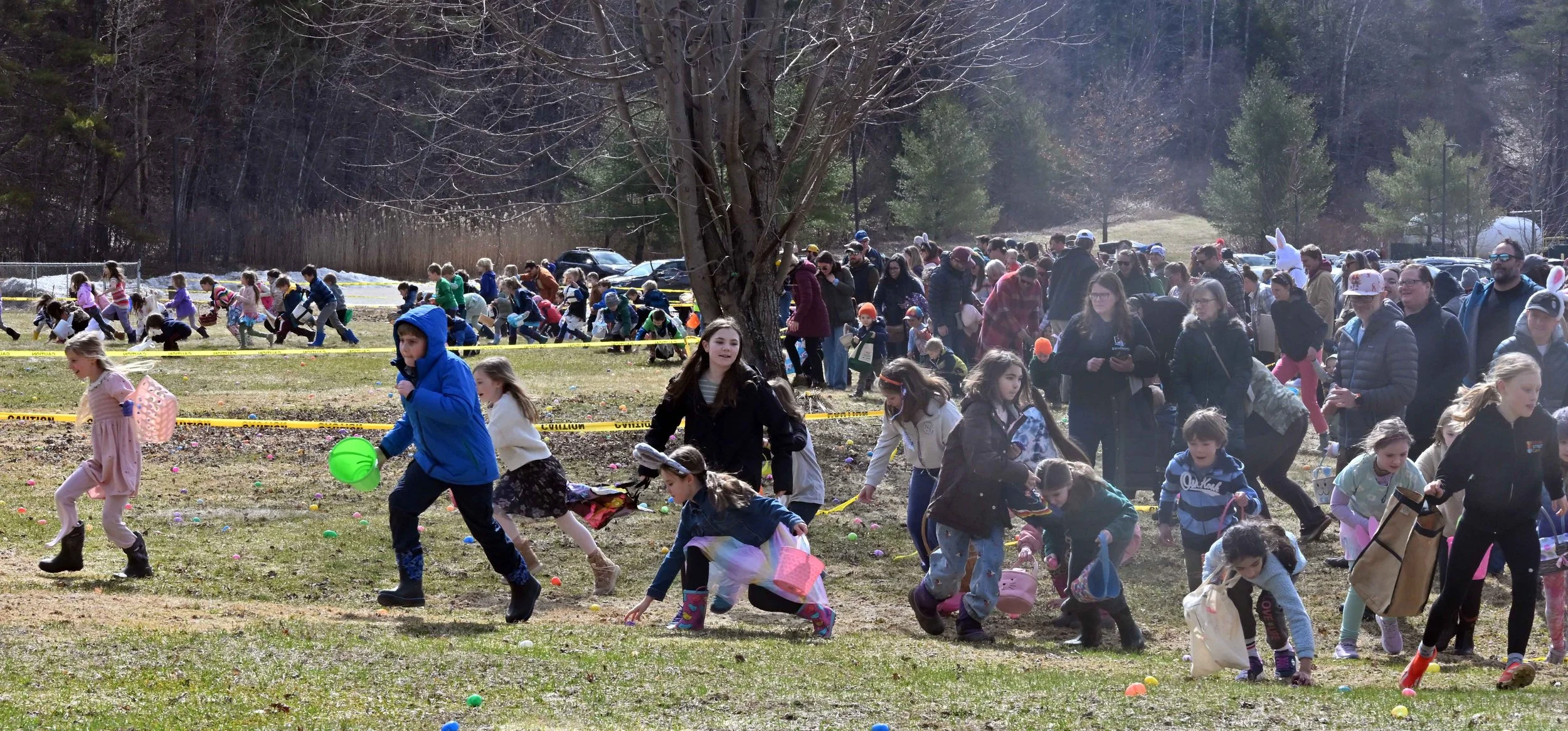   Photo by Gordon Miller  