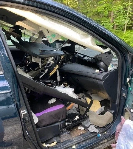 Cautionary tale: Bear totals Toyota RAV4