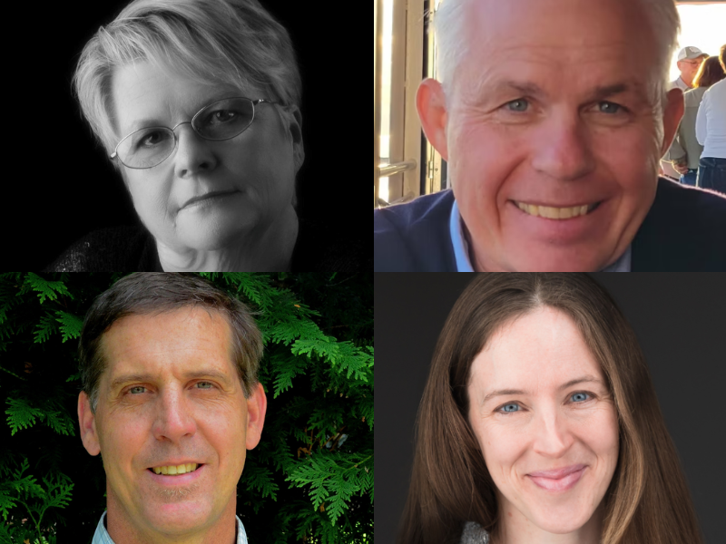 Four Democrats vying for three seats representing Washington County, Braintree, Orange, Stowe in Vt. Senate