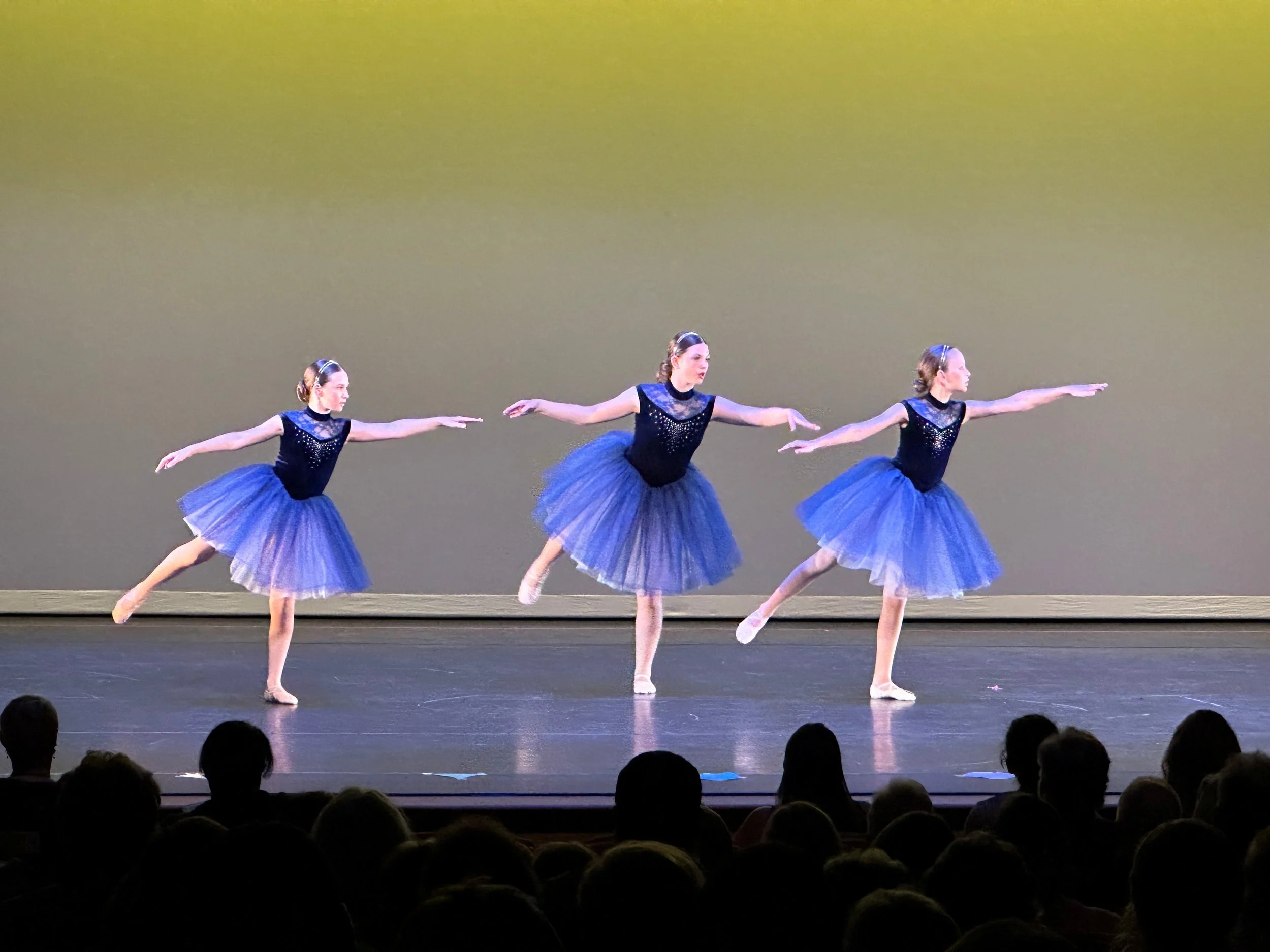   GMPA spring recital at Spruce Peak Performing Arts Center. Photos by Lisa Scagliotti  