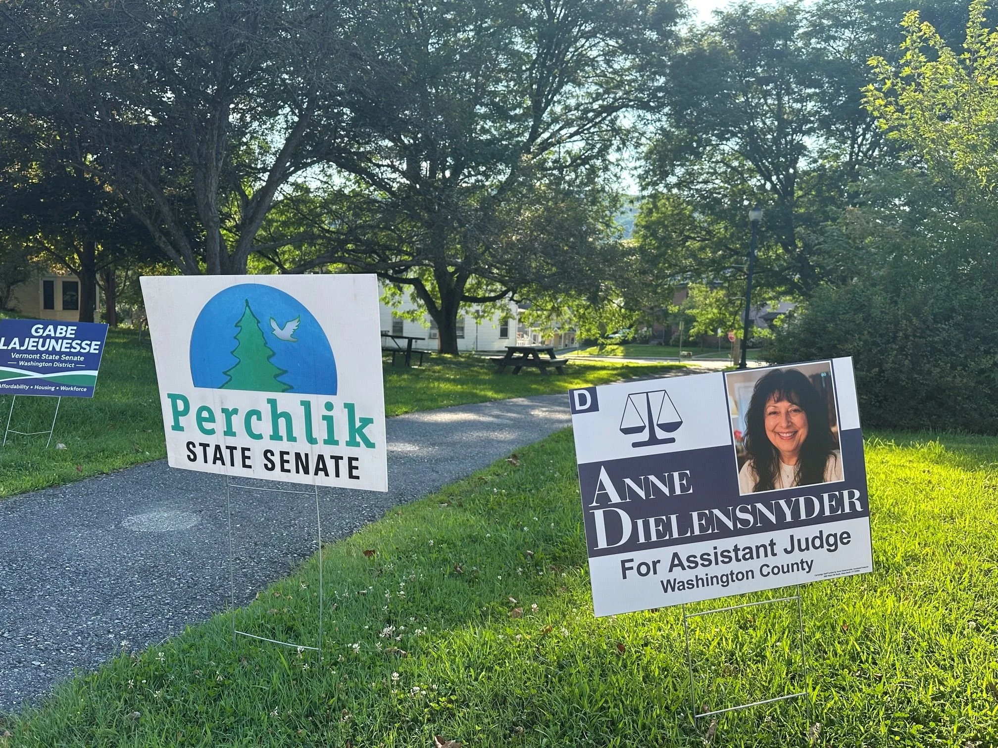   Washington Senate and Assistant Judge positions had competition on the Democratic primary ballot. Photo by LIsa Scagliotti  