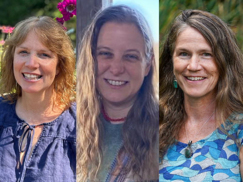 Teacher of the Year finalists include Moretown kindergarten teacher Pam Dow