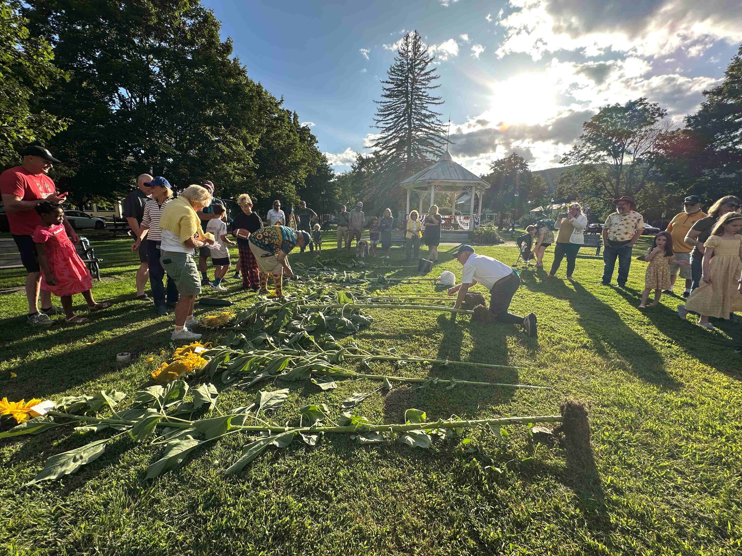  Rotarians John Malter (center) and Marty Johansen (right, kneeling) measure sunflowers as Sue Johnansen (left) records the data. Photo by Lisa Scagliotti 