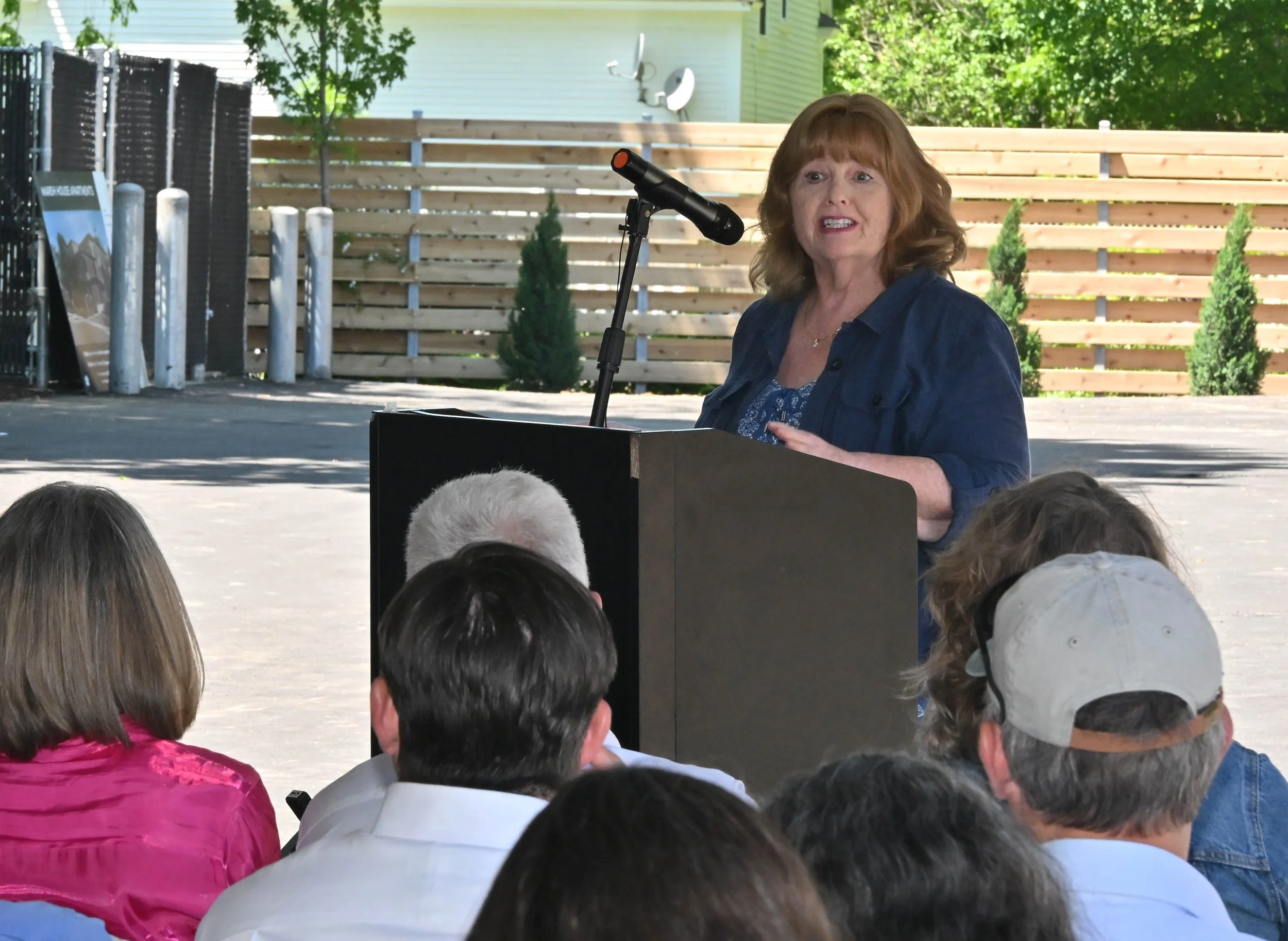  State Rep. Theresa Wood, D-Waterbury. Photo by Gordon Miller 
