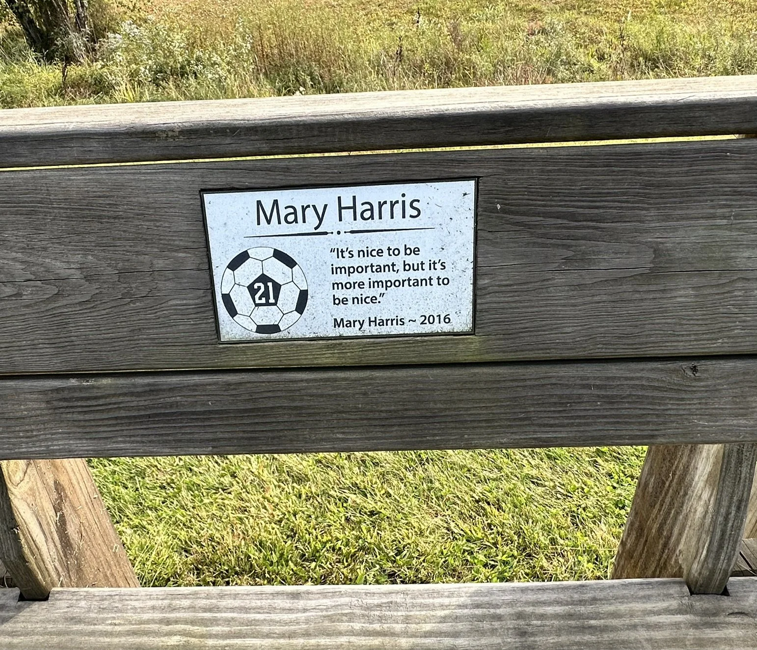  Memorial bench at Mad River Park. Photo by Lisa Scagliotti  