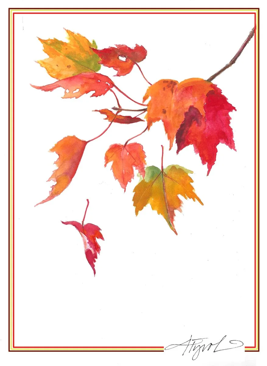 The joy – and science – of watching a leaf fall