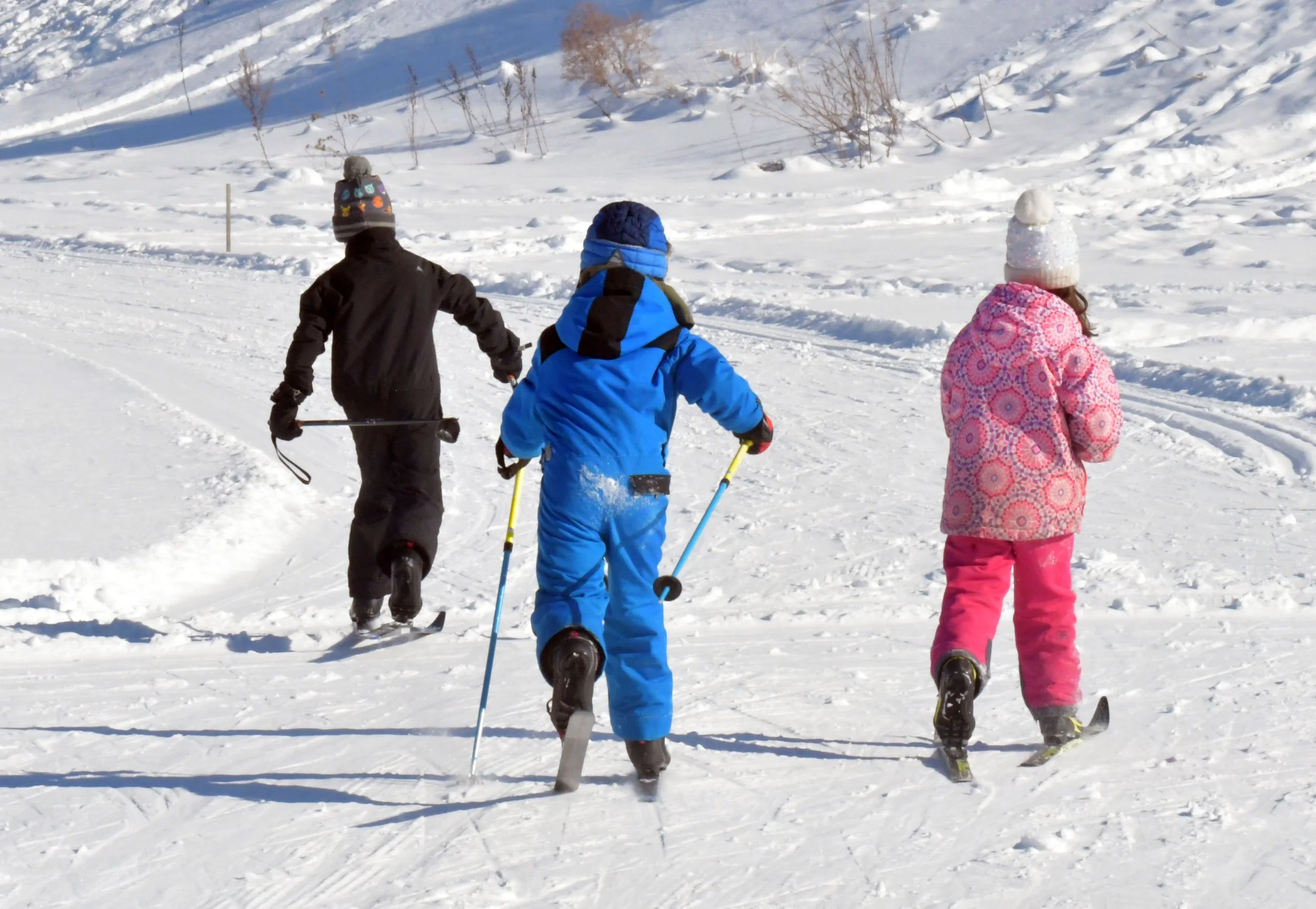 Winterfest opens grant applications, sets 2027 dates&nbsp;