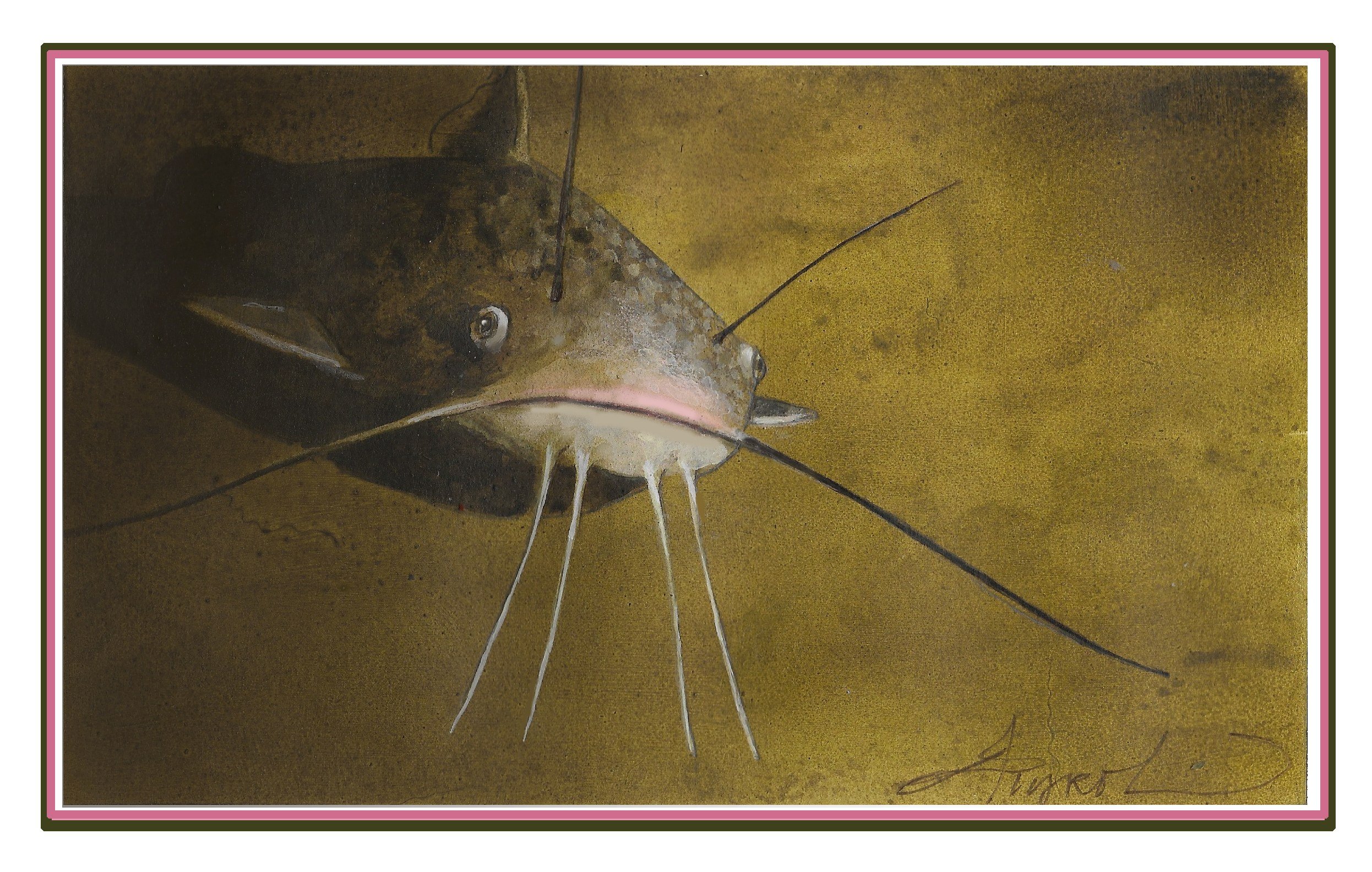 Fish-mouth anatomy suggests ecology