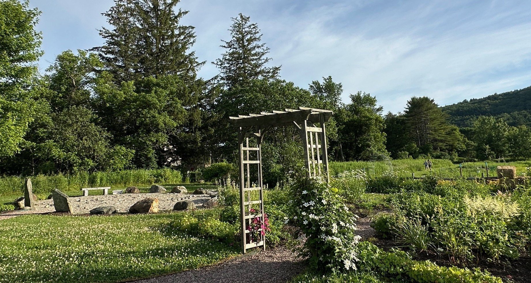 Save this list for summer library happenings for adults