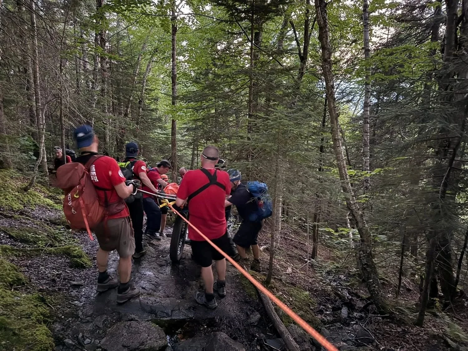Backcountry rescue teams log multiple recent mountain rescues ...