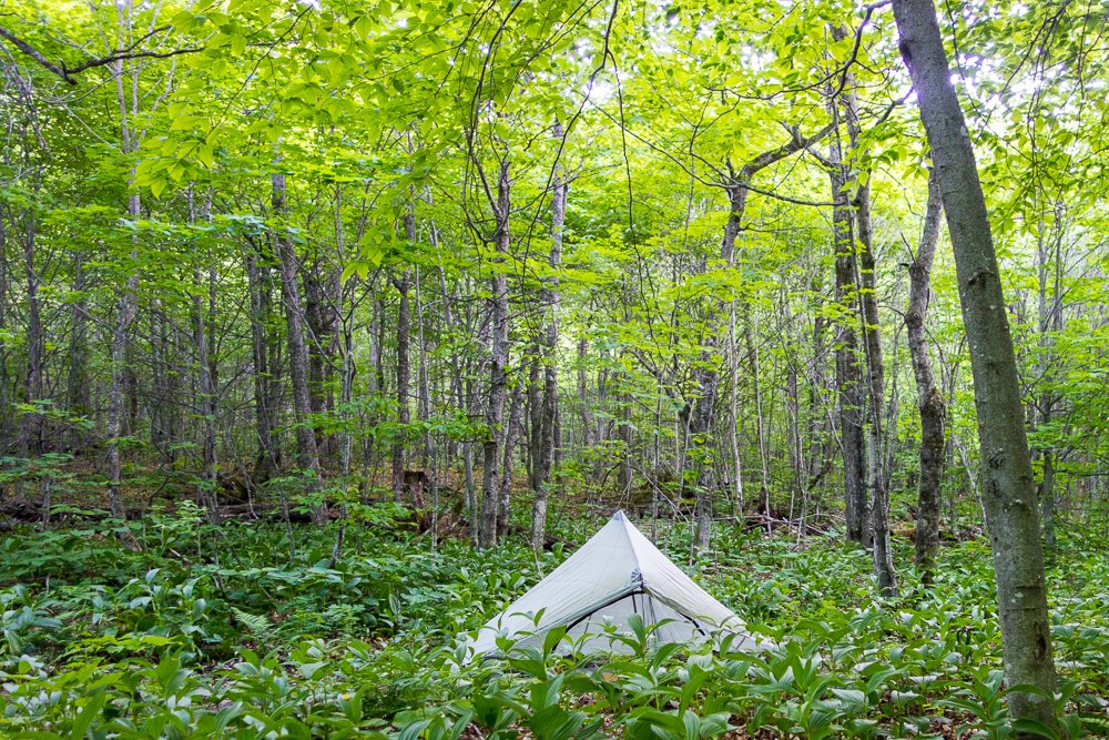 State asks Vermonters to weigh in on new rules for primitive camping