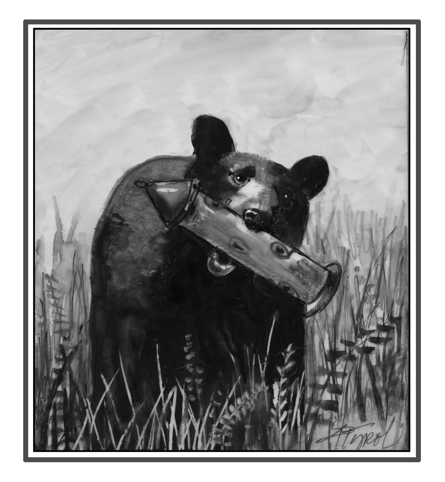 Factors behind burgeoning black bear populations