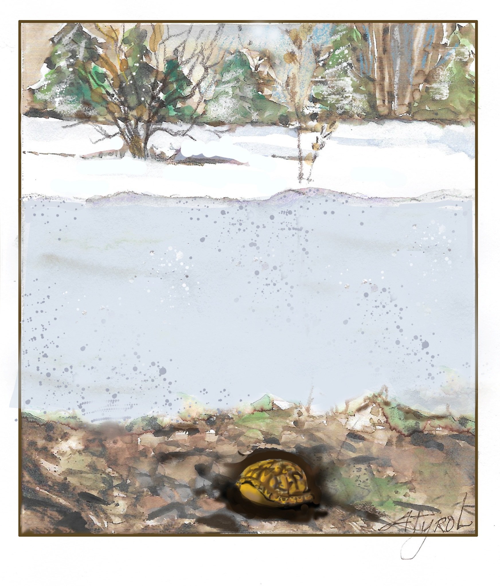 Life beneath ice and snow: Turtles in winter