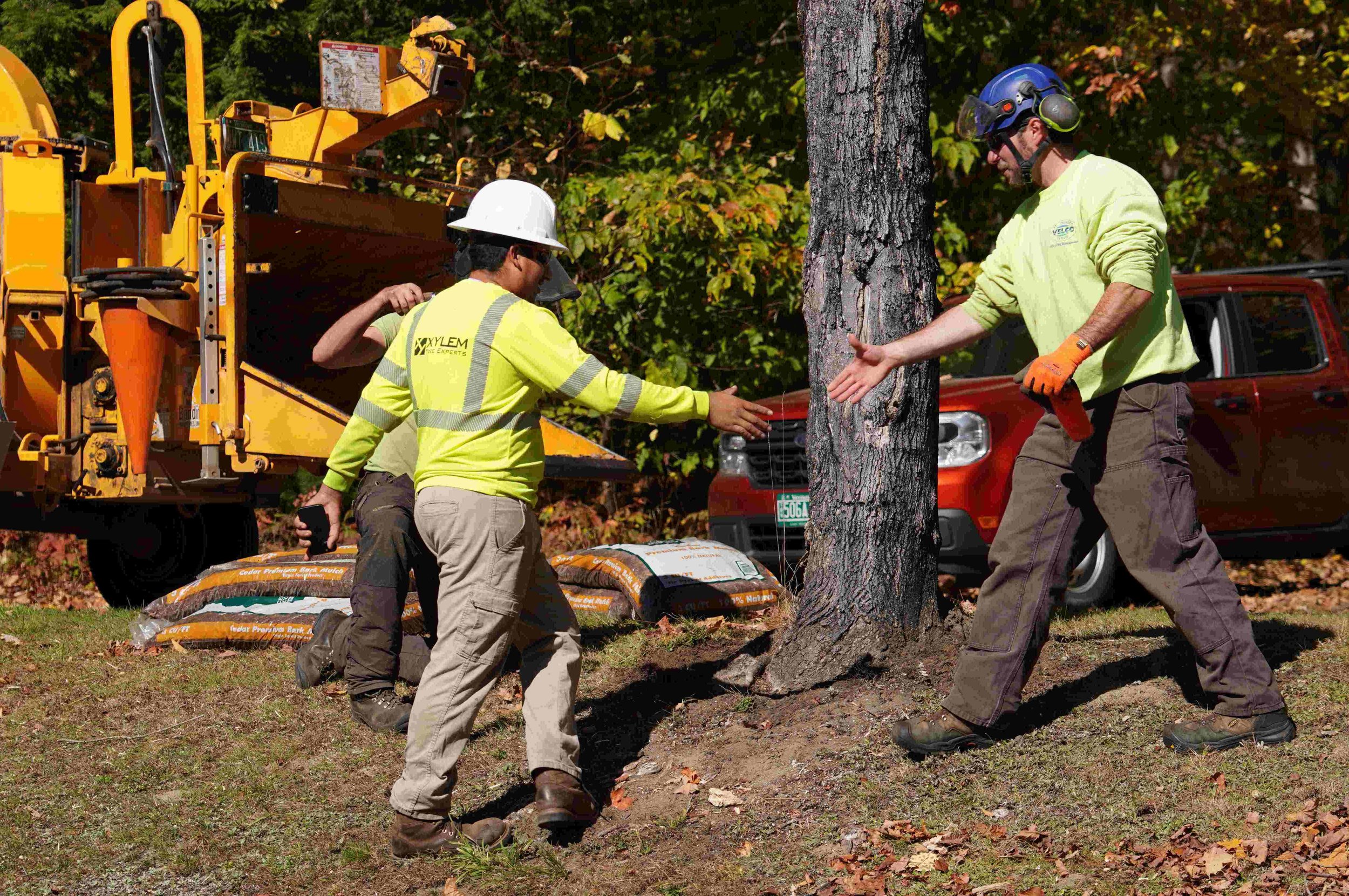Arborists gather at Little River State Park for service, training