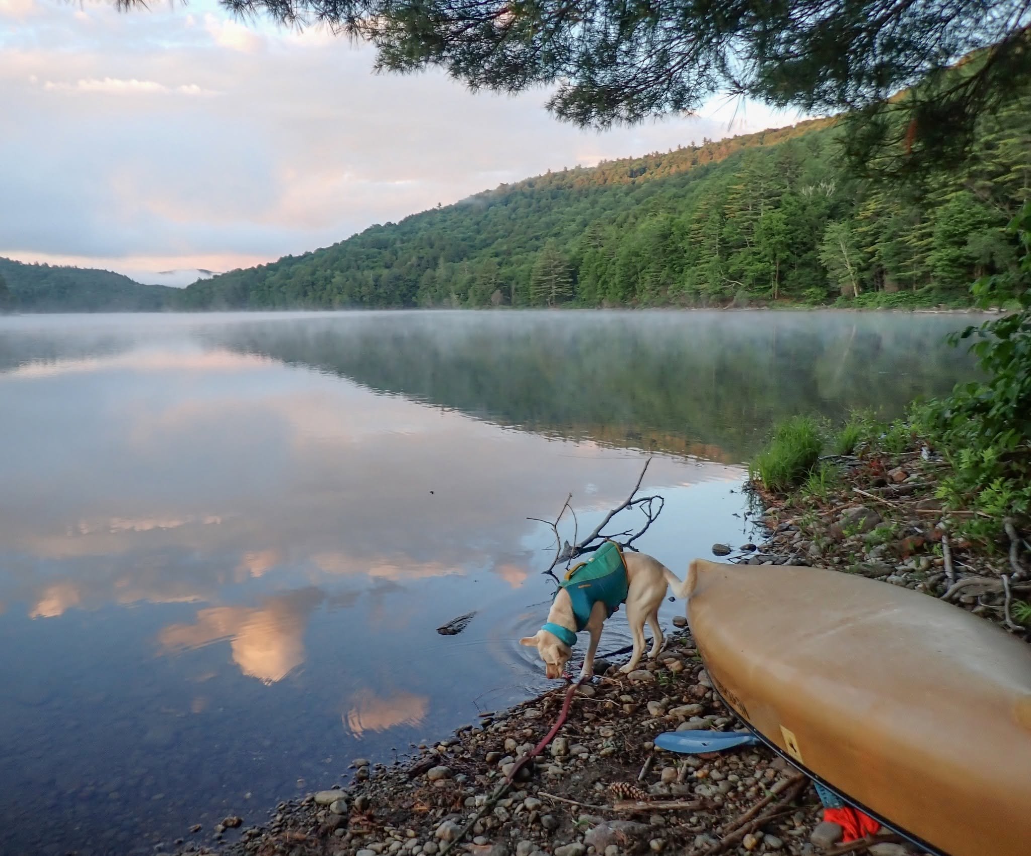 Ripples from the Reservoir | July edition