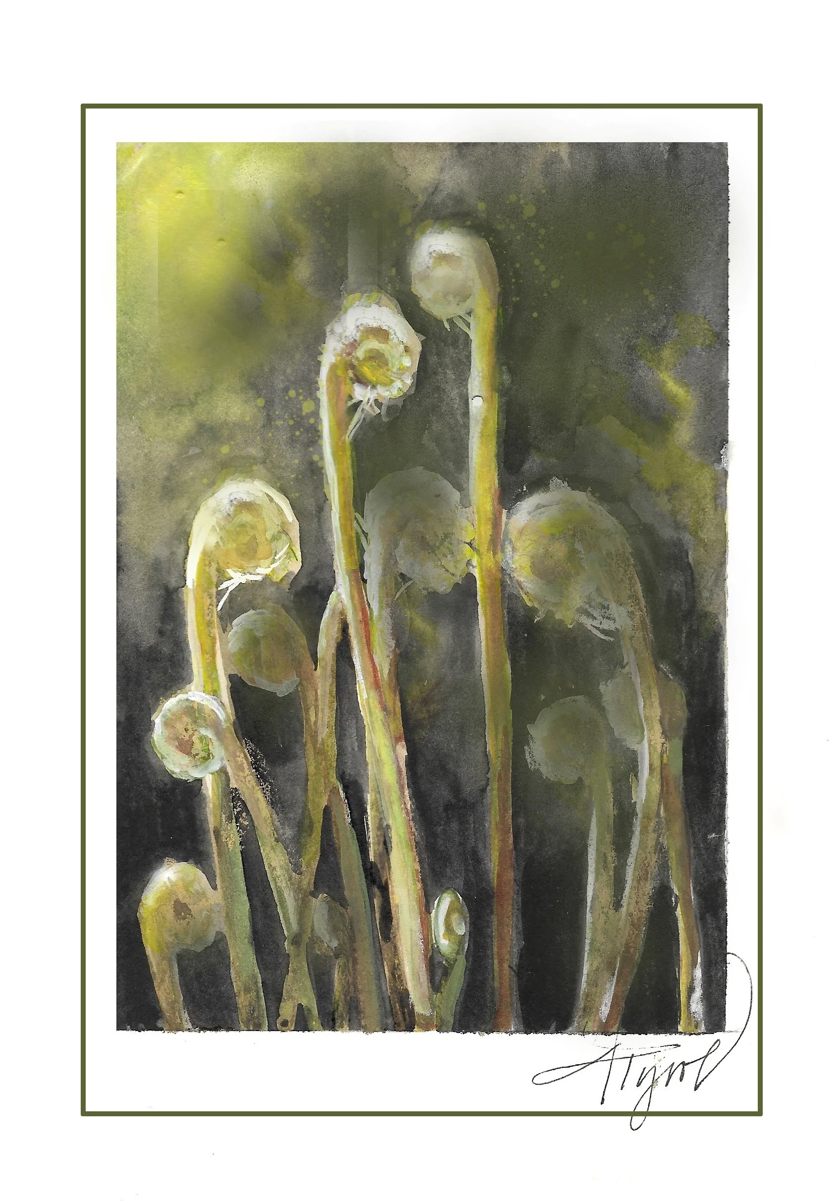 Cinnamon fern withstands the tests of time