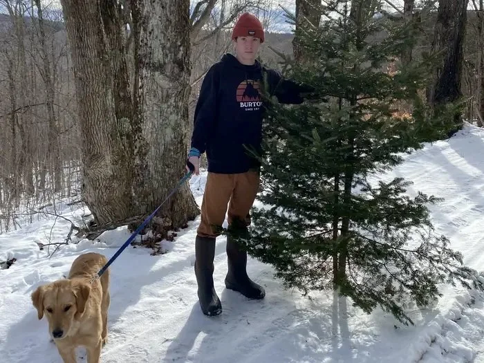 $7.50 gets you a Green Mountain National Forest Christmas tree