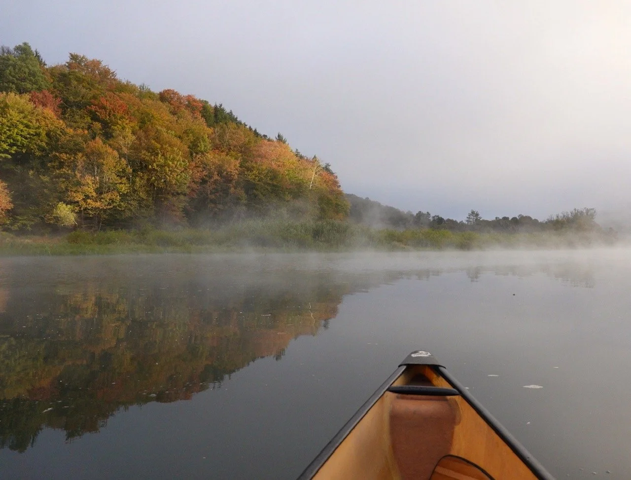 Ripples from the Reservoir: Mid-October edition