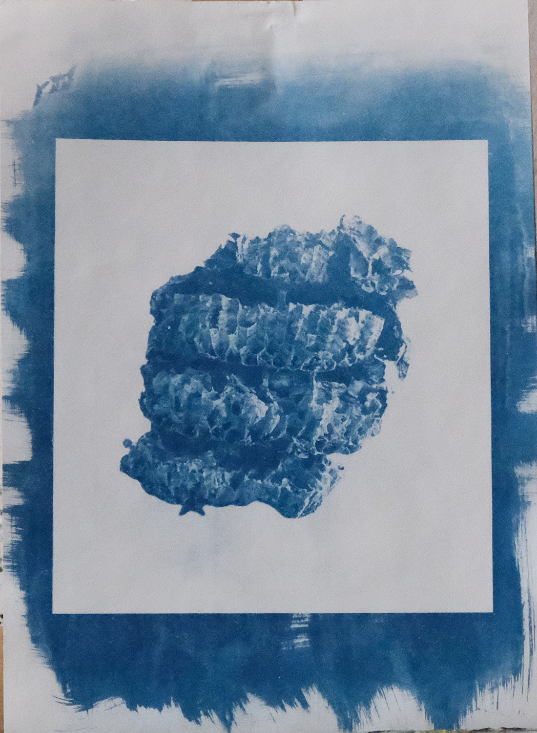 pt_DSCF4474.png