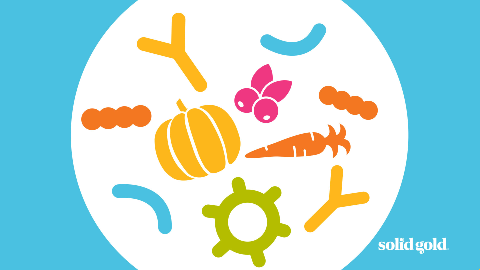SolidGold_CleanseBalanceFuel_GutBacteria_SuperFoods.jpg