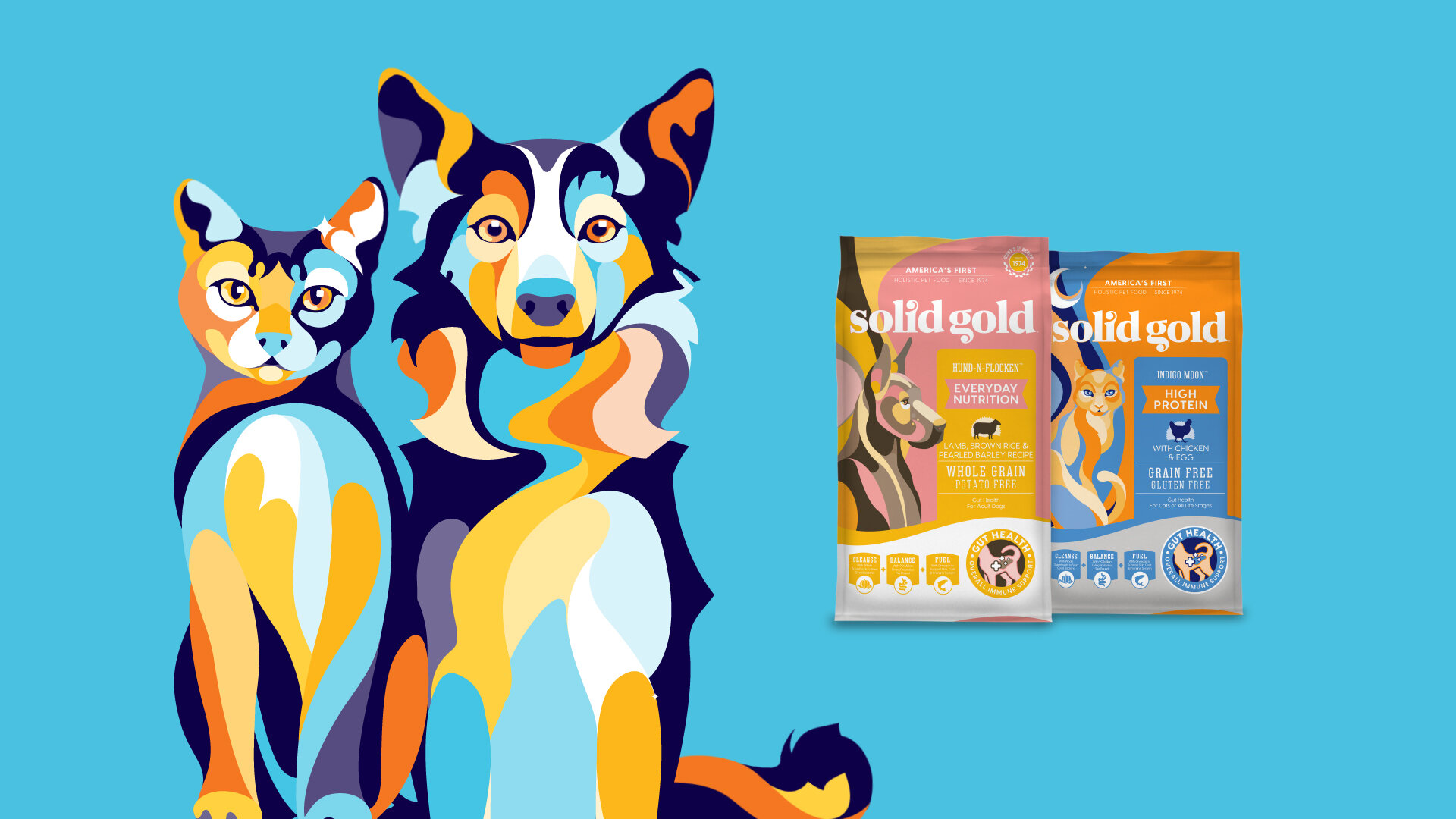 SolidGold_WhyGutHealthMatters_HealthPets_PetFood.jpg