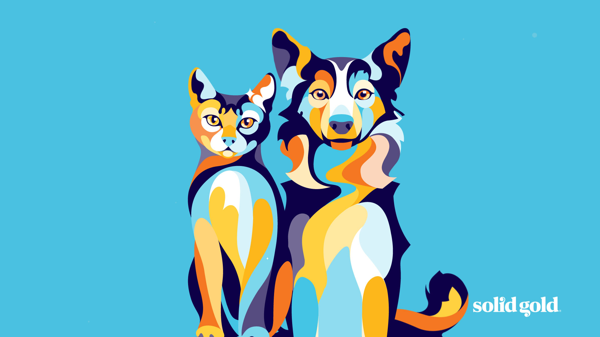 SolidGold_CleanseBalanceFuel_HealthyPets2.jpg