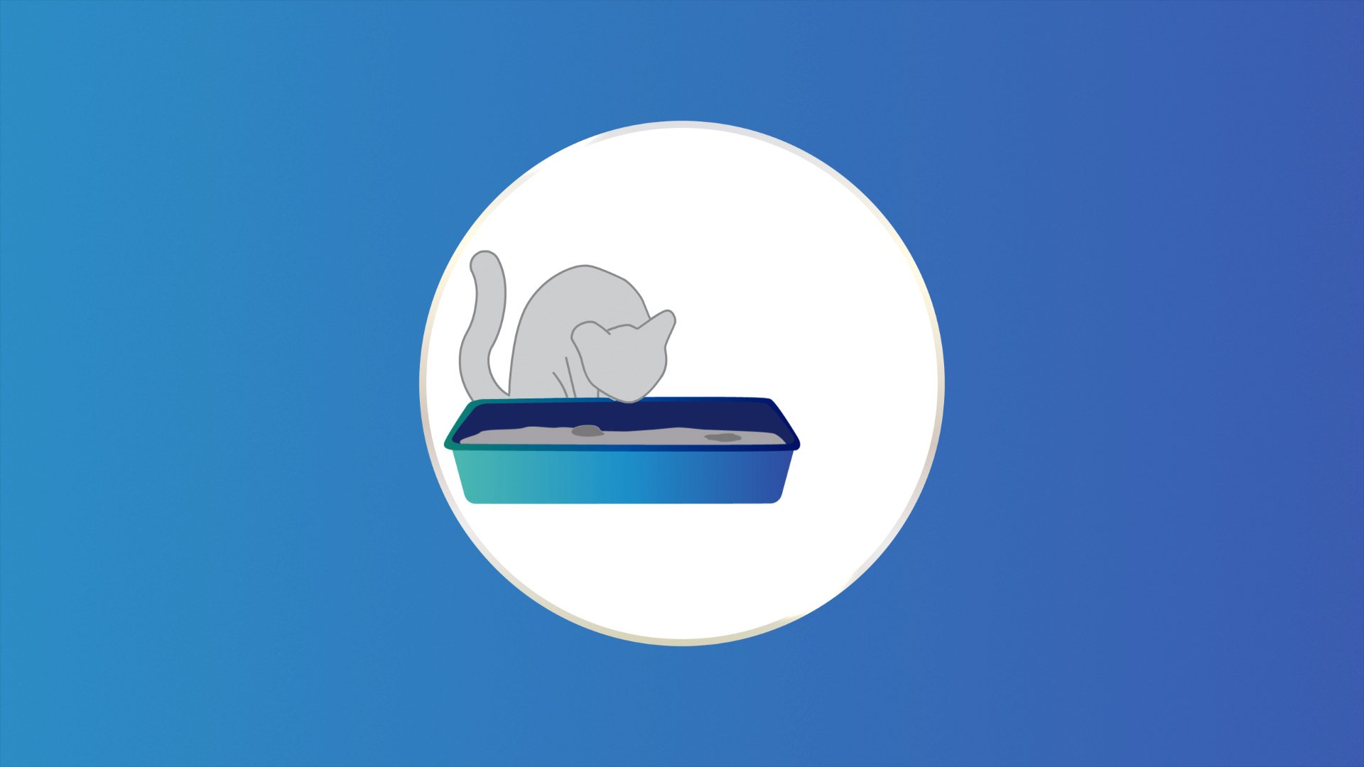 TidyCare_Cats_BTS.00_00_24_01.Still004.jpg
